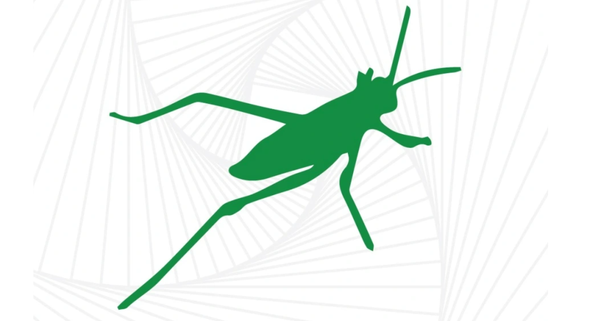 Screenshot 2025-05-12 181314